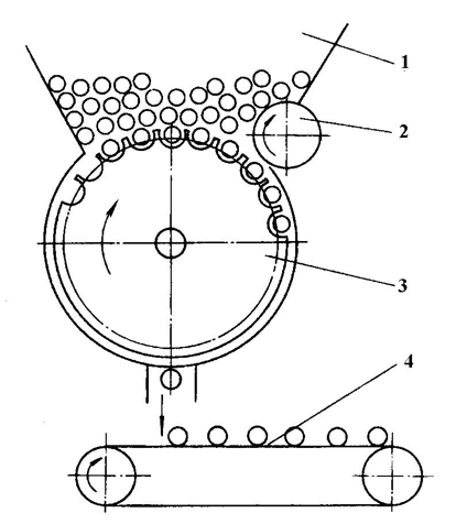 zw/D6p_30/6P2Z27.jpg